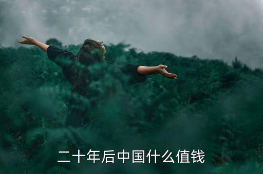 二十年后中國(guó)什么值錢(qián)