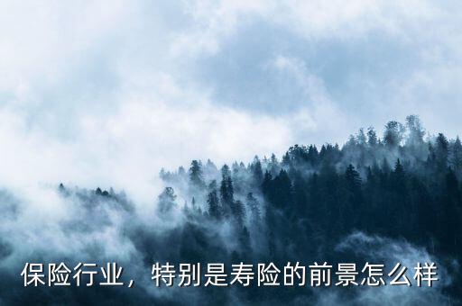 保險(xiǎn)行業(yè)，特別是壽險(xiǎn)的前景怎么樣