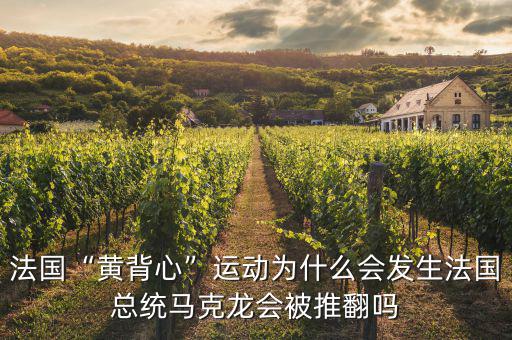 法國“黃背心”運(yùn)動(dòng)為什么會(huì)發(fā)生法國總統(tǒng)馬克龍會(huì)被推翻嗎