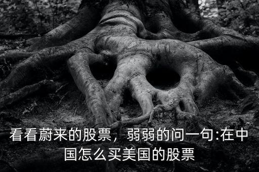 看看蔚來的股票，弱弱的問一句:在中國怎么買美國的股票