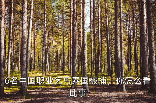 6名中國職業(yè)乞丐泰國被捕，你怎么看此事