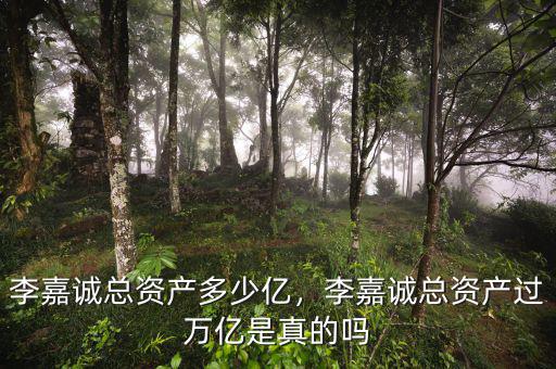 李嘉誠總資產(chǎn)多少億，李嘉誠總資產(chǎn)過萬億是真的嗎