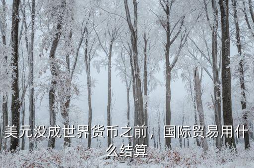 美元沒成世界貨幣之前，國際貿易用什么結算