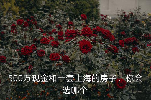 500萬現(xiàn)金和一套上海的房子，你會選哪個