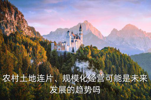 農(nóng)村土地連片、規(guī)?；?jīng)營可能是未來發(fā)展的趨勢嗎