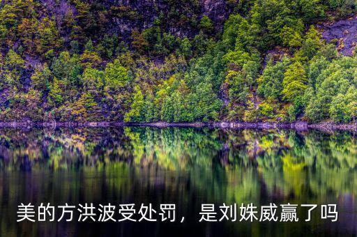 美的方洪波受處罰，是劉姝威贏了嗎