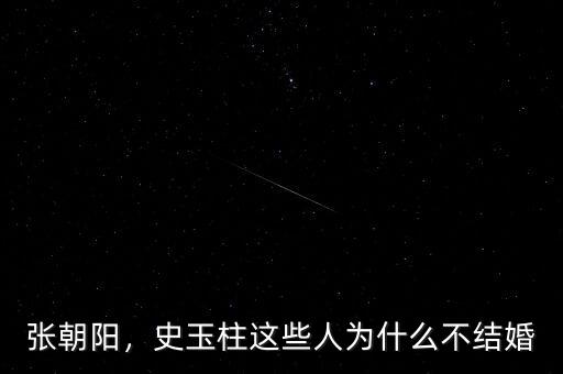 張朝陽，史玉柱這些人為什么不結(jié)婚