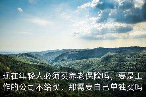 現(xiàn)在年輕人必須買養(yǎng)老保險嗎，要是工作的公司不給買，那需要自己單獨買嗎