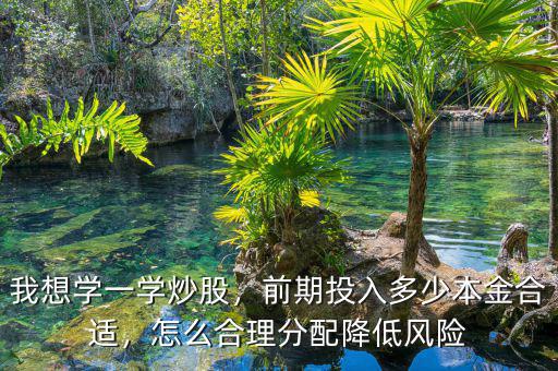 我想學一學炒股，前期投入多少本金合適，怎么合理分配降低風險