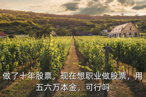做了十年股票，現(xiàn)在想職業(yè)做股票，用五六萬(wàn)本金，可行嗎