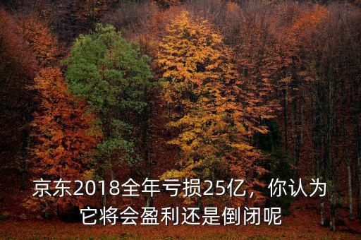 京東2018全年虧損25億，你認(rèn)為它將會(huì)盈利還是倒閉呢