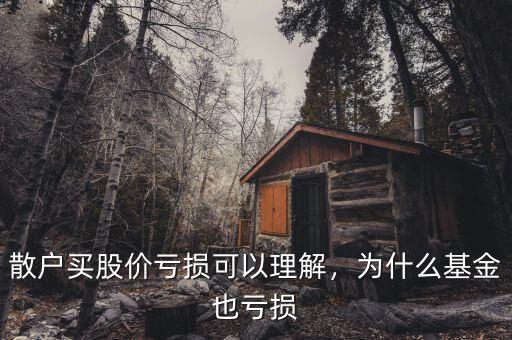 散戶(hù)買(mǎi)股價(jià)虧損可以理解，為什么基金也虧損