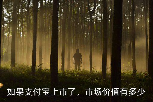 如果支付寶上市了，市場(chǎng)價(jià)值有多少