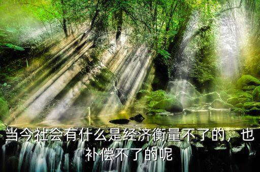 當今社會有什么是經濟衡量不了的，也補償不了的呢