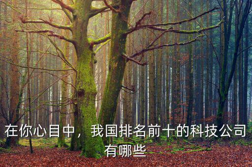 在你心目中，我國排名前十的科技公司有哪些