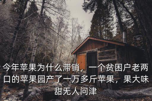 今年蘋果為什么滯銷，一個貧困戶老兩口的蘋果園產(chǎn)了一萬多斤蘋果，果大味甜無人問津