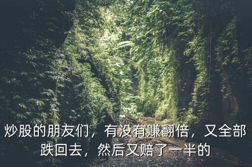 炒股的朋友們，有沒(méi)有賺翻倍，又全部跌回去，然后又賠了一半的