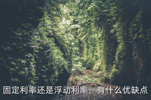 固定利率還是浮動利率，有什么優(yōu)缺點