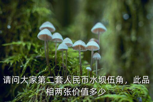 請(qǐng)問大家第二套人民幣水壩伍角，此品相兩張價(jià)值多少