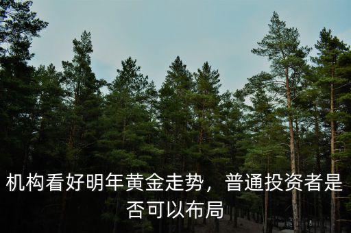 機(jī)構(gòu)看好明年黃金走勢(shì)，普通投資者是否可以布局