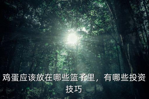 雞蛋應(yīng)該放在哪些籃子里，有哪些投資技巧