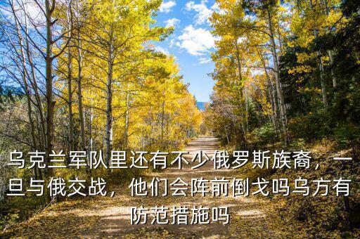 烏克蘭軍隊里還有不少俄羅斯族裔，一旦與俄交戰(zhàn)，他們會陣前倒戈嗎烏方有防范措施嗎