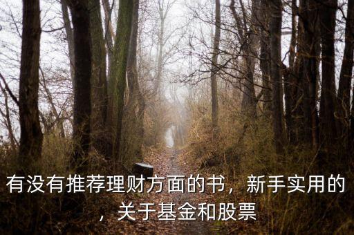 有沒(méi)有推薦理財(cái)方面的書(shū)，新手實(shí)用的，關(guān)于基金和股票