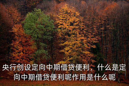 央行創(chuàng)設(shè)定向中期借貸便利，什么是定向中期借貸便利呢作用是什么呢