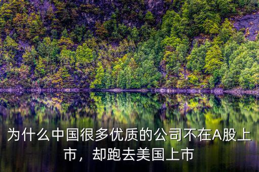 為什么中國(guó)很多優(yōu)質(zhì)的公司不在A股上市，卻跑去美國(guó)上市