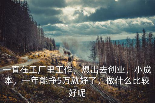 一直在工廠里工作，想出去創(chuàng)業(yè)，小成本，一年能掙5萬就好了，做什么比較好呢