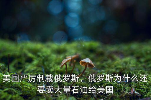 美國(guó)嚴(yán)厲制裁俄羅斯，俄羅斯為什么還要賣(mài)大量石油給美國(guó)