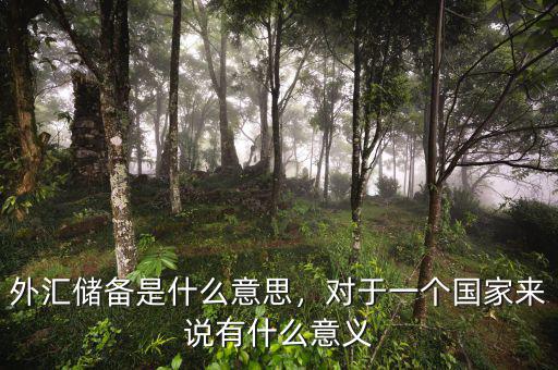 外匯儲(chǔ)備是什么意思，對(duì)于一個(gè)國(guó)家來(lái)說(shuō)有什么意義