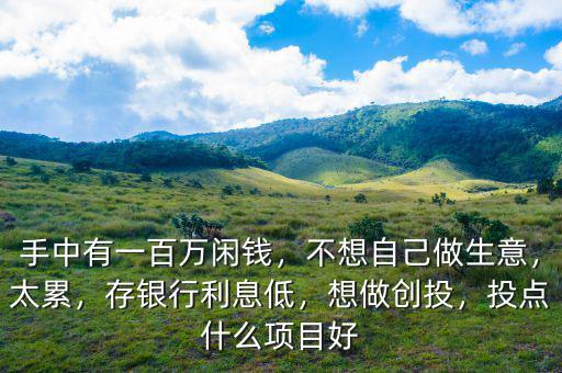 手中有一百萬(wàn)閑錢，不想自己做生意，太累，存銀行利息低，想做創(chuàng)投，投點(diǎn)什么項(xiàng)目好
