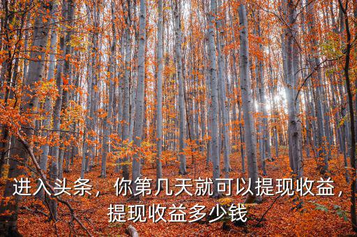 進(jìn)入頭條，你第幾天就可以提現(xiàn)收益，提現(xiàn)收益多少錢