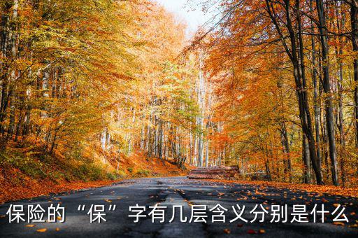 保險(xiǎn)的“?！弊钟袔讓雍x分別是什么