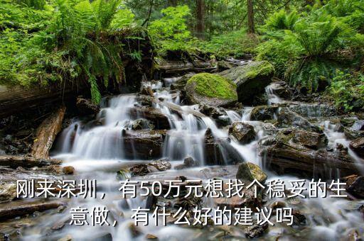 剛來(lái)深圳，有50萬(wàn)元想找個(gè)穩(wěn)妥的生意做，有什么好的建議嗎