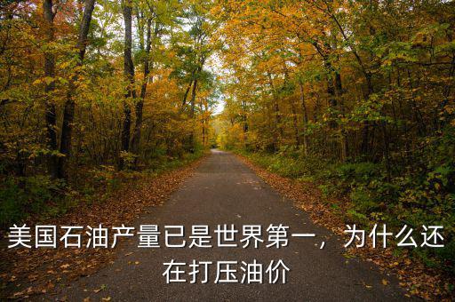 美國(guó)石油產(chǎn)量已是世界第一，為什么還在打壓油價(jià)