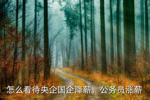 怎么看待央企國企降薪，公務員漲薪