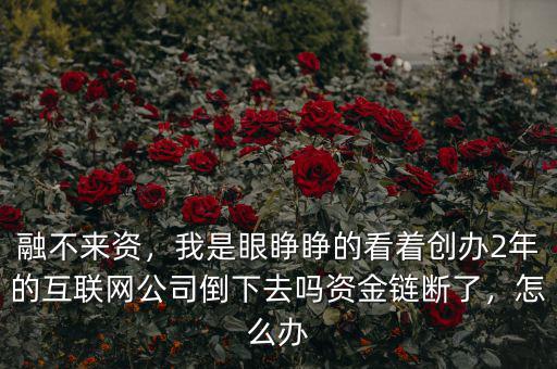 融不來資，我是眼睜睜的看著創(chuàng)辦2年的互聯(lián)網(wǎng)公司倒下去嗎資金鏈斷了，怎么辦