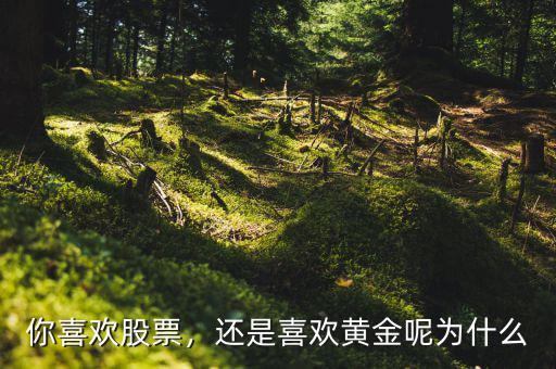 你喜歡股票，還是喜歡黃金呢為什么