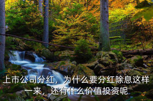 上市公司分紅，為什么要分紅除息這樣一來，還有什么價值投資呢