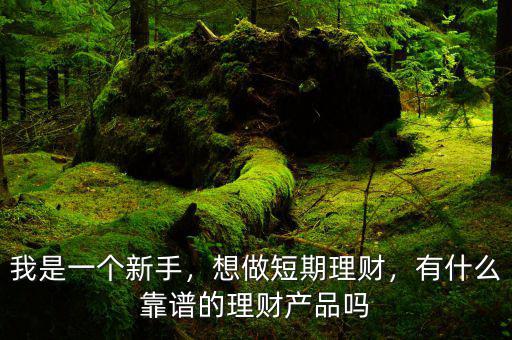 我是一個新手，想做短期理財，有什么靠譜的理財產(chǎn)品嗎