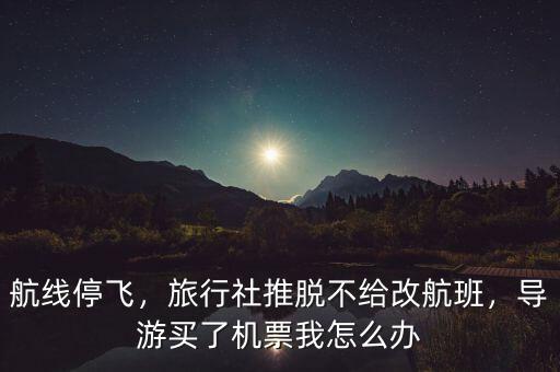航線停飛，旅行社推脫不給改航班，導(dǎo)游買了機(jī)票我怎么辦