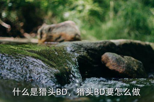 什么是獵頭BD，獵頭BD要怎么做
