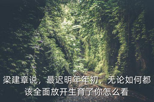 梁建章說，最遲明年年初，無論如何都該全面放開生育了你怎么看