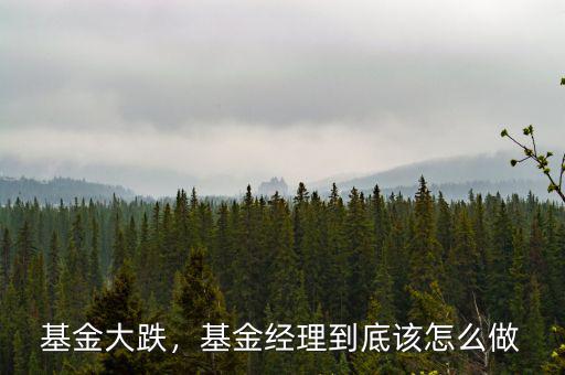基金大跌，基金經(jīng)理到底該怎么做