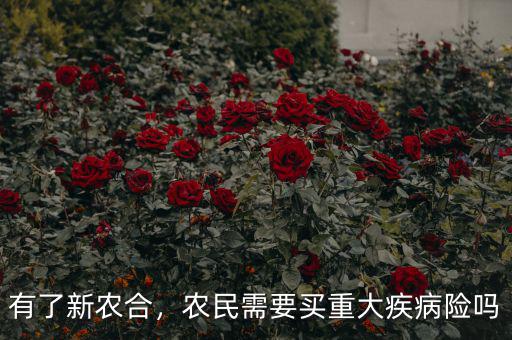 有了新農(nóng)合，農(nóng)民需要買重大疾病險(xiǎn)嗎