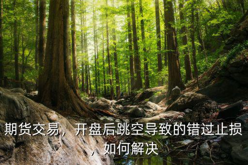 期貨交易，開盤后跳空導致的錯過止損，如何解決
