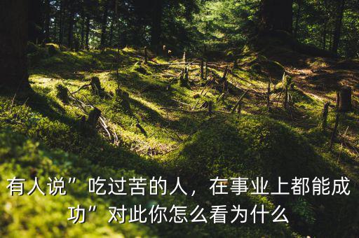 有人說”吃過苦的人，在事業(yè)上都能成功”對此你怎么看為什么