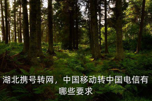 湖北攜號轉(zhuǎn)網(wǎng)，中國移動轉(zhuǎn)中國電信有哪些要求